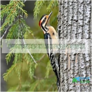 Woodpeckers in Montana Overview