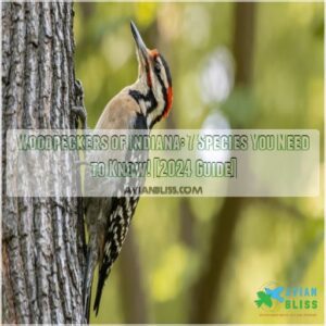 woodpeckers of indiana