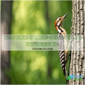 woodpeckers of kansas