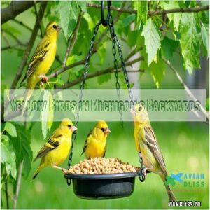 Yellow Birds in Michigan