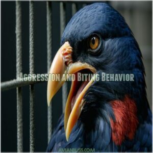 Aggression and Biting Behavior