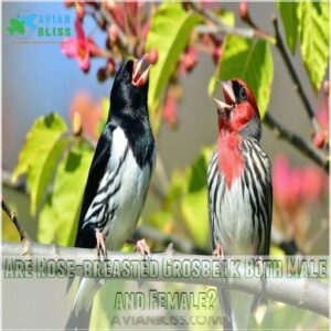 Are Rose-breasted Grosbeak Both Male and Female