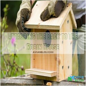 Attaching The Back to The Robin House