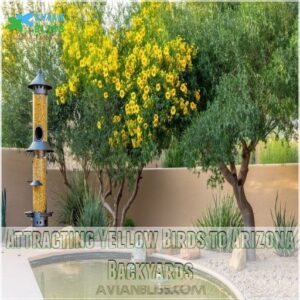 Attracting Yellow Birds to Arizona Backyards