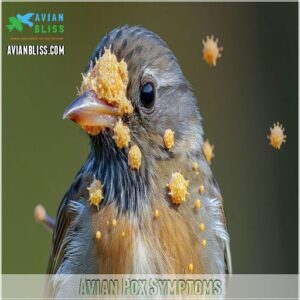 Avian Pox Symptoms