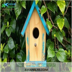 Benefits of Birdhouses