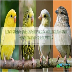 best birds for beginners