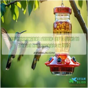 best hummingbird feeder