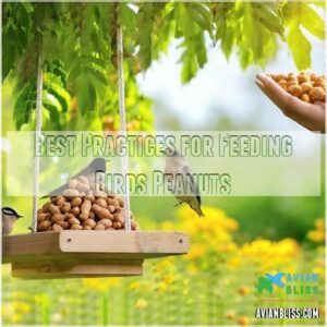 Best Practices for Feeding Birds Peanuts