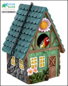 Bird House Indoor Outdoor Small