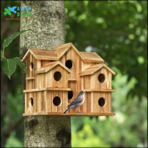 Bird Houses for Outside 10