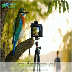 Bird Photography Tips