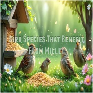 Bird Species That Benefit From Millet