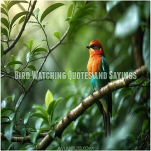 Bird Watching Quotes and Sayings