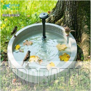 Birdbaths