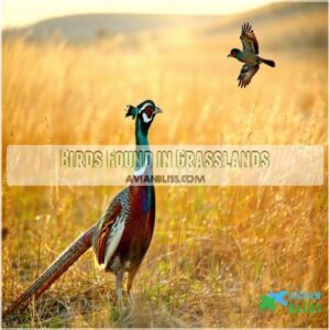 Birds Found in Grasslands