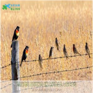 Birds Found in Rural Areas