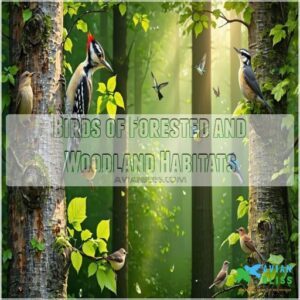 Birds of Forested and Woodland Habitats