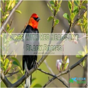 Birds With Red Heads and Black Bodies