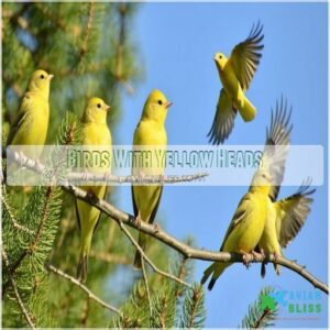 Birds With Yellow Heads