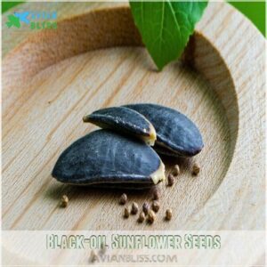 Black-oil Sunflower Seeds