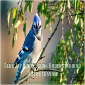 Blue Jay Aggression: Understanding Their Behavior