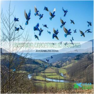 Bluebird Migration in Georgia