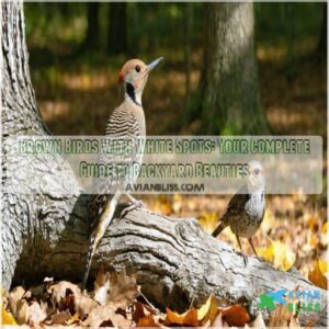 brown birds with white spots