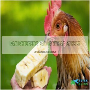 Can Chickens Eat Bananas Safely