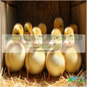 Caring for Yellow Ducklings During Transformation