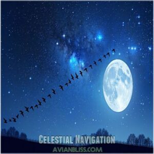 Celestial Navigation