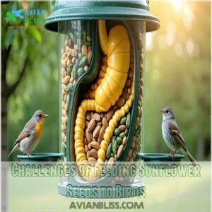 Challenges of Feeding Sunflower Seeds to Birds