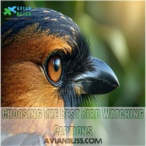 Choosing The Best Bird Watching Captions