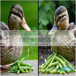 Common Mistakes to Avoid When Feeding Green Beans