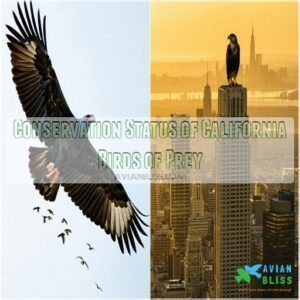 Conservation Status of California Birds of Prey