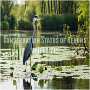 Conservation Status of Herons in Illinois