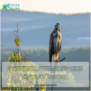 Conservation Status of Red-Tailed Hawks in Wisconsin