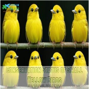 Conservation Status of Small Yellow Birds