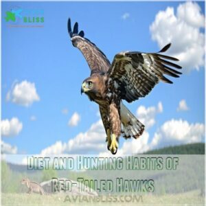 Diet and Hunting Habits of Red-Tailed Hawks