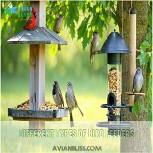 Different Types of Bird Feeders