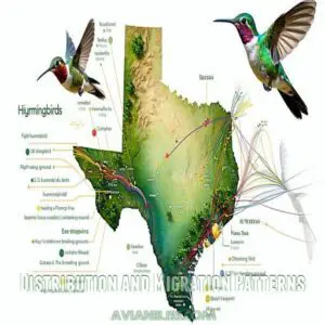 Distribution and Migration Patterns