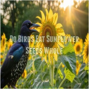 Do Birds Eat Sunflower Seeds Whole