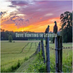 Dove Hunting in Georgia