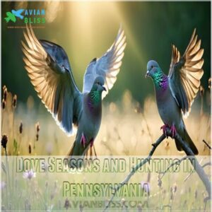 Dove Seasons and Hunting in Pennsylvania