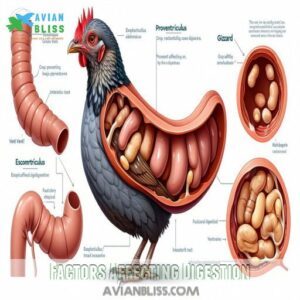 Factors Affecting Digestion