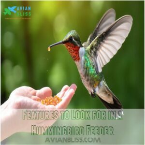 Features to Look for in a Hummingbird Feeder