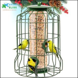 Gray Bunny Wild Bird Feeders