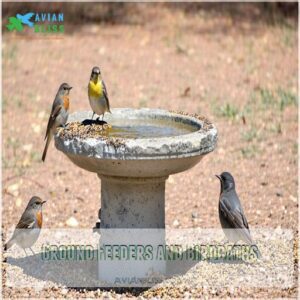 Ground Feeders and Birdbaths