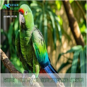 Guided Tours and Birdwatching Events