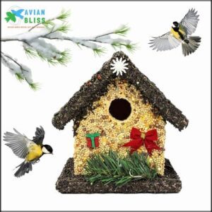 Handmade Edible Birdhouse- Unique Wooden